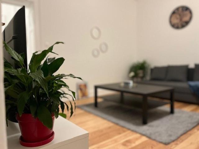 Cosy Rent-Strasbourg Gare 1-Wifi Apartamento Exterior foto