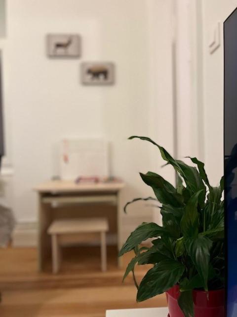 Cosy Rent-Strasbourg Gare 1-Wifi Apartamento Exterior foto